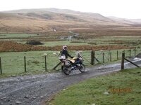 IMG_3446.jpg