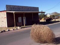 Tumbleweed.jpg