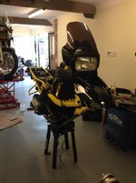 IMG_0172.jpg