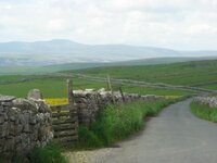 DSC02654.jpg