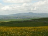 Dales 12-6-2014 008.jpg