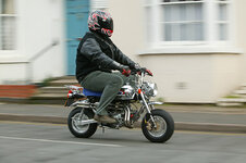monkey-bike-3-large.jpg