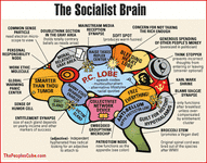 Brain_Socialist_550.gif