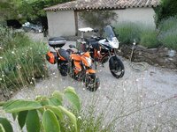 Team Orange 1.jpg