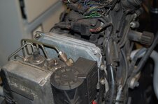 DSC_0064 (752 x 500).jpg