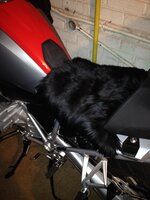 IMG_1872small.jpg