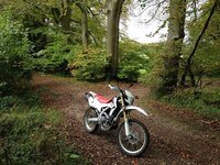crf.jpg