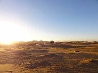 DSC05314.v01.JPG