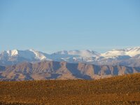 DSC05507.v01.JPG