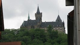IMG_7880.jpg