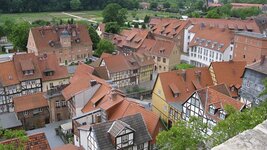 IMG_7985.jpg