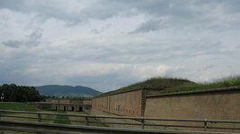 IMG_8061.jpg