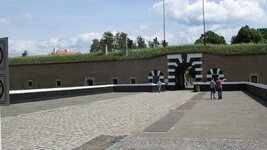 IMG_8037.jpg