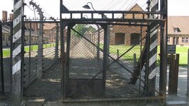 IMG_8115.jpg