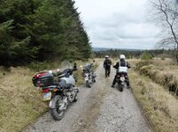 P1020128.jpg