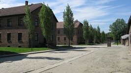 IMG_8116.jpg