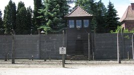 IMG_8134.jpg