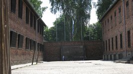 IMG_8133.jpg
