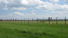 IMG_8204.jpg