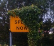 speed creeps.jpg