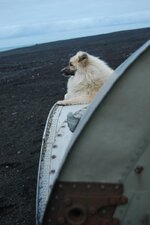 Iceland 2014 147.jpg