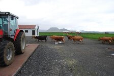 Iceland 2014 107.jpg