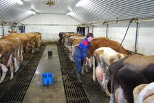 Iceland 2014 118.jpg