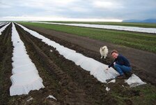 Iceland 2014 139.jpg