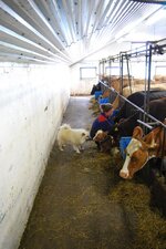Iceland 2014 163.jpg