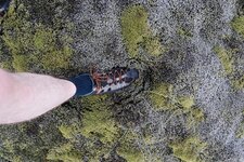 Iceland 2014 253.jpg