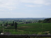 DSC00148.JPG