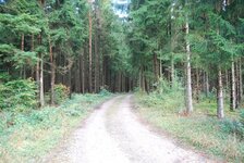Black Forest and Ardenne October 2014 028.jpg