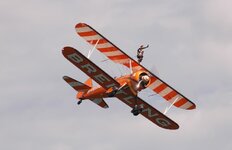 B7.jpg
