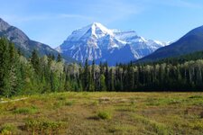 Mt Robson1.jpg