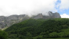IMG_5724.jpg