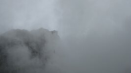 IMG_5726.jpg