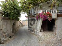 DSCN0723.jpg