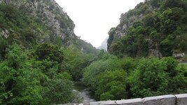IMG_5683.jpg