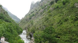 IMG_5688.jpg
