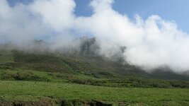 IMG_5799.jpg