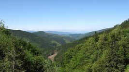 IMG_8424.jpg