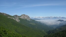 IMG_5842.jpg