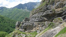 IMG_5826.jpg