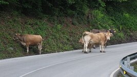IMG_5840.jpg