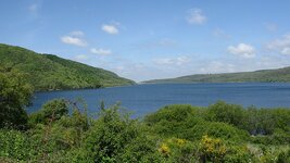 IMG_5857.jpg
