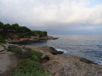 DSC00356.JPG