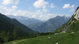 IMG_8513.jpg