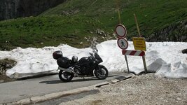 IMG_8543.jpg