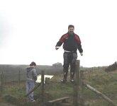 grizz at coombe hillv1.jpg