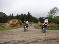 Another track we found.jpg